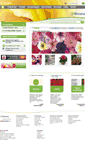 Mobile Screenshot of big-begonia.com