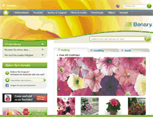 Tablet Screenshot of big-begonia.com